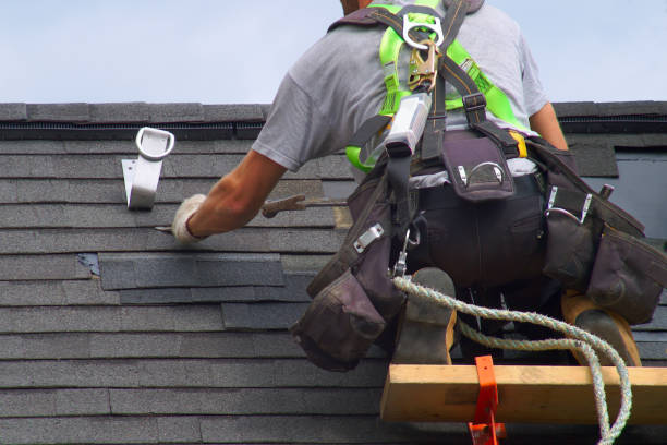 Best Roof Gutter Cleaning  in Passapatanzy, VA