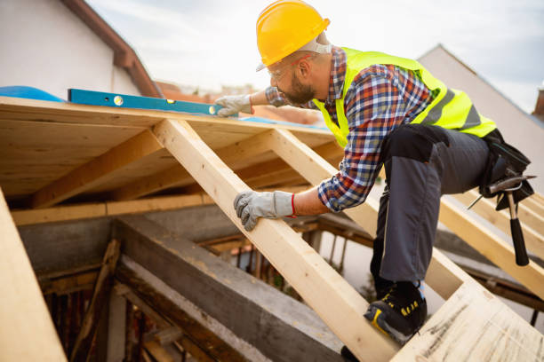 Best Roof Gutter Cleaning  in Passapatanzy, VA