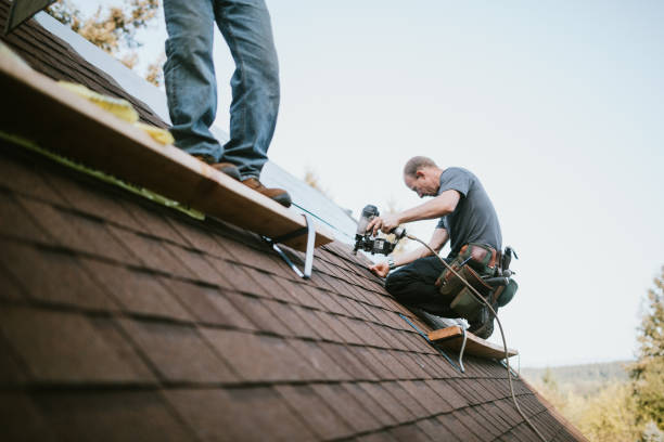 Best Roof Repair Specialists  in Passapatanzy, VA